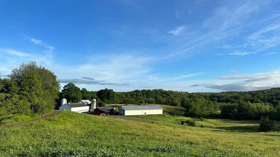 Northaven Pastures is Revitalizing the Definition of a Sustainable Farm