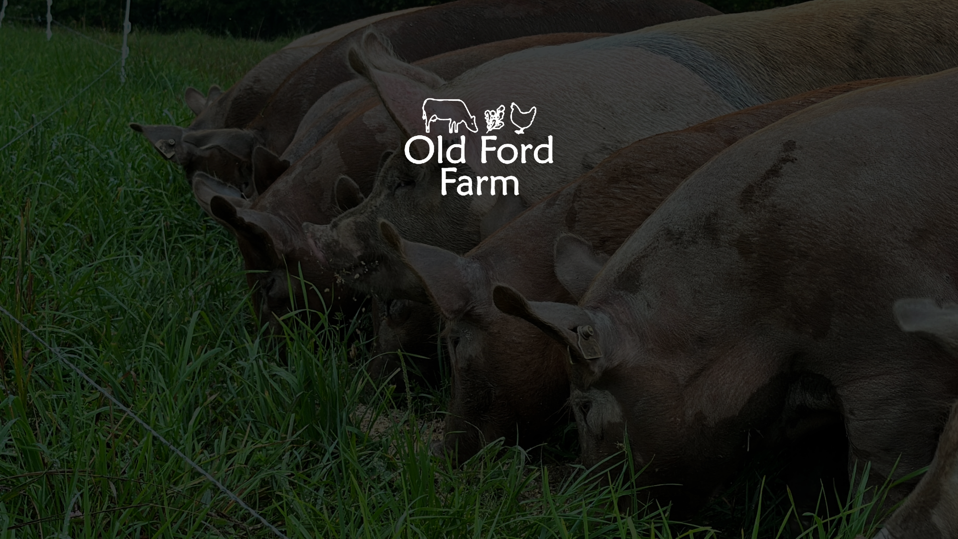 Soy-free Pastured Pork Background with Old Ford Farm Logo